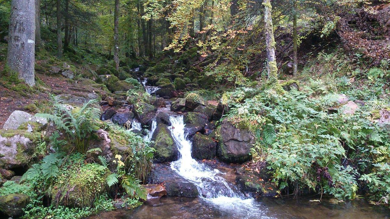 Maison Independante De Montagne En Alsace Bellefosse Dış mekan fotoğraf